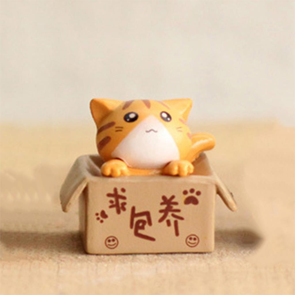 Cute Mini Cats in a Box