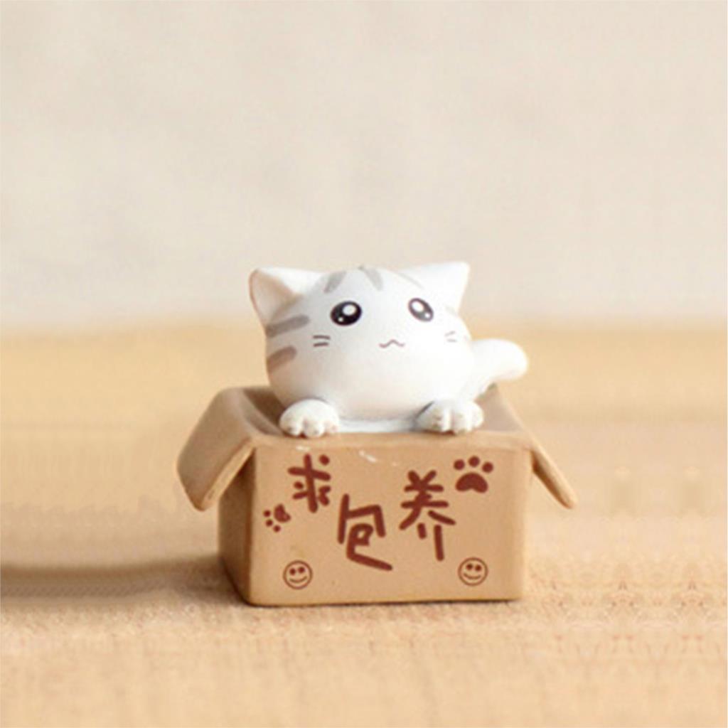 Cute Mini Cats in a Box