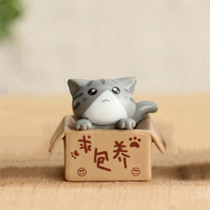 Cute Mini Cats in a Box