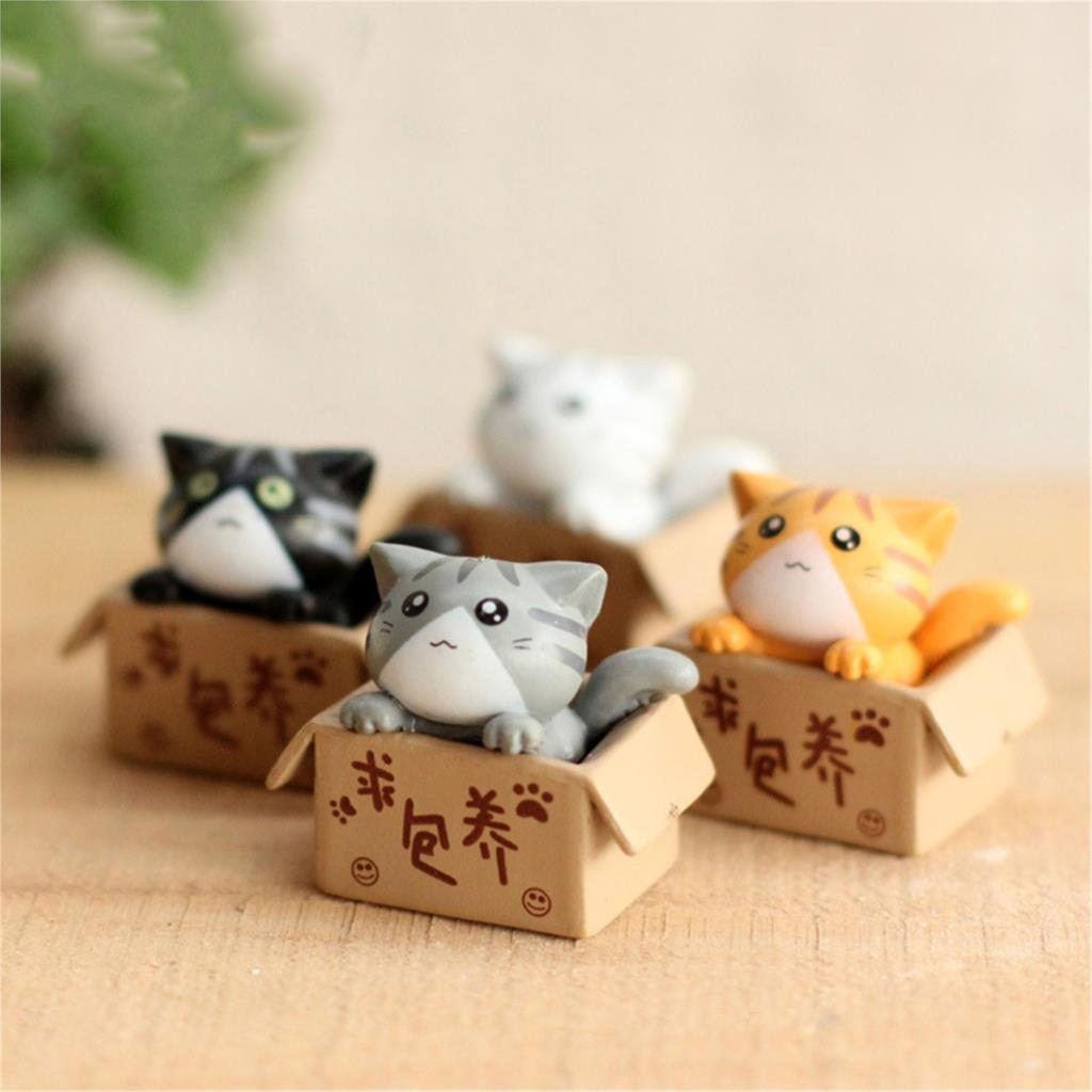 Cute Mini Cats in a Box