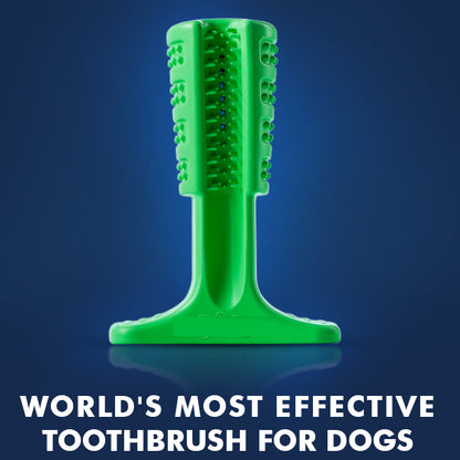 Dog's Toothbrush Toy